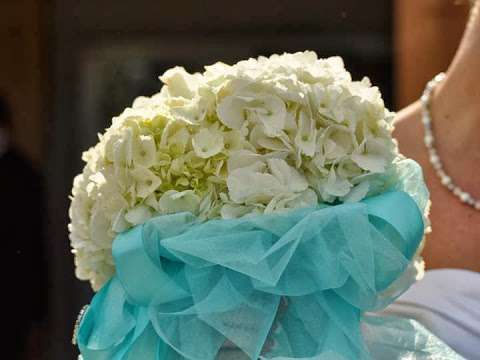 A Bride & Groom's Pictures & Blooms
